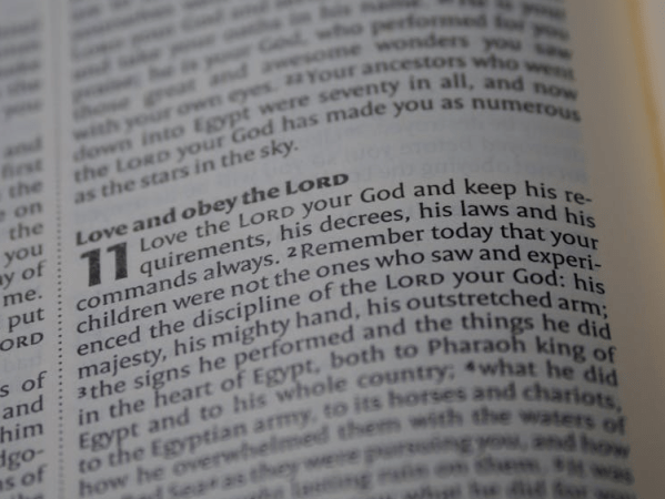 Verse-by-Verse Studies Added!